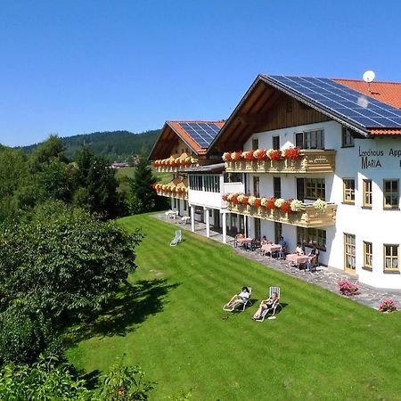 Hotel Landhaus Maria Bed&Breakfast Regen Exterior foto
